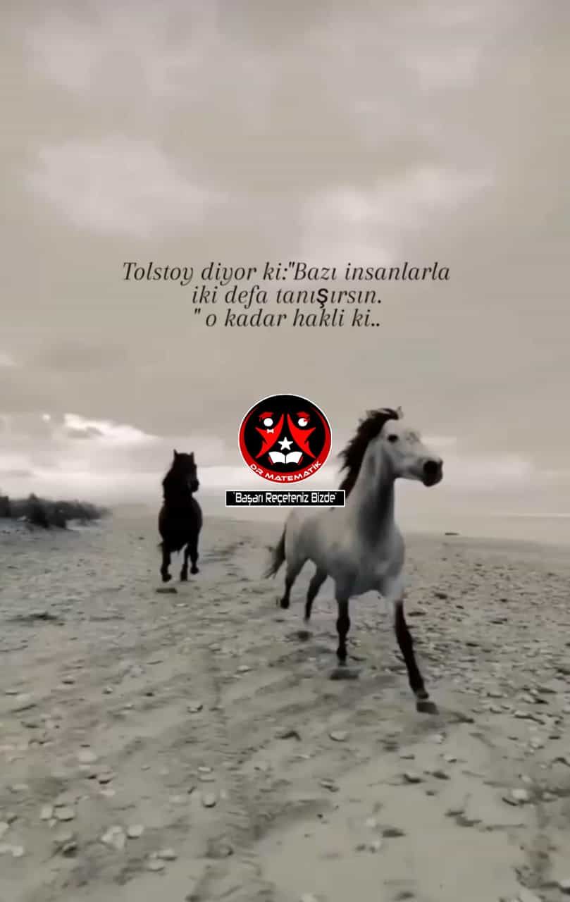 1 ekstralar (103).jpg